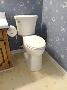 Toilet Replacement for Accessibility in Seneca