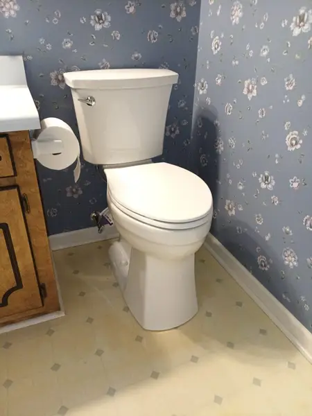 Toilet Replacement for Accessibility in Seneca