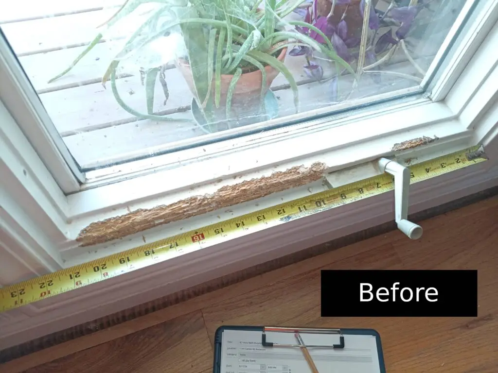 Window Trim Repair in Townville — dog chew repair
