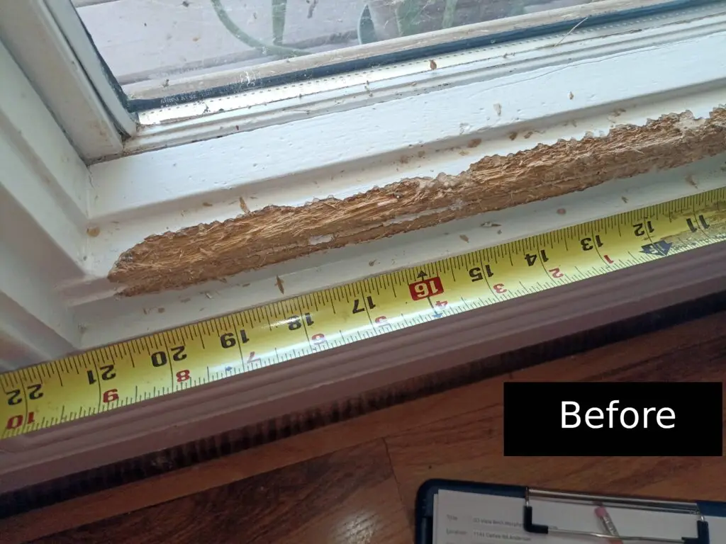 Window Trim Repair in Townville — Home Maintenance